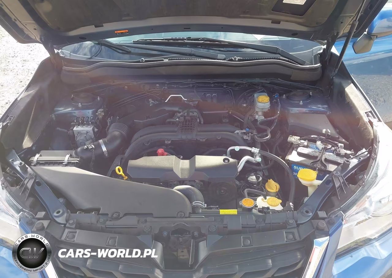 2018 Subaru Forester 2.5I Premium VIN:JF2SJAEC6JH518410 - 10