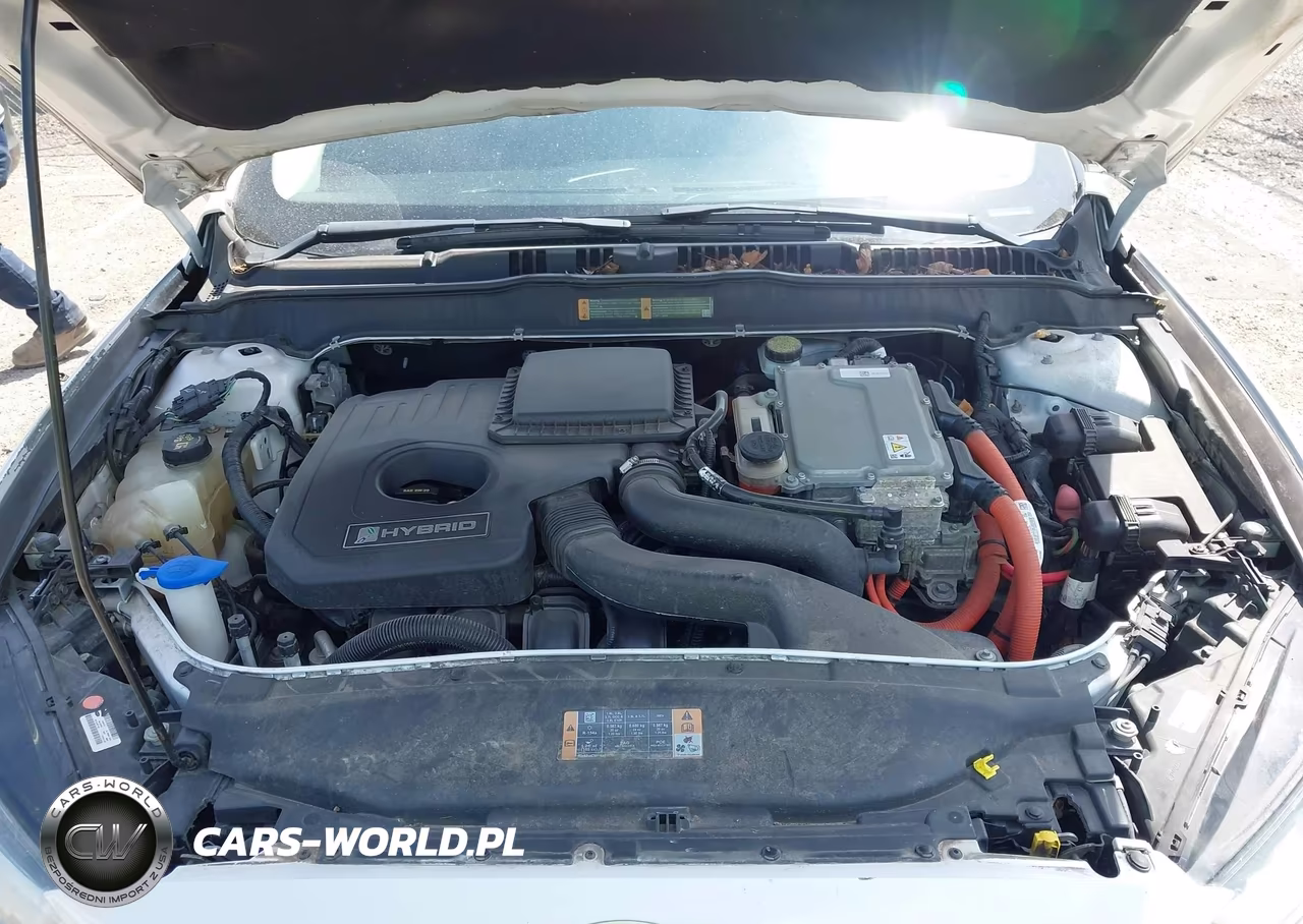 2013 Ford Fusion Hybrid Se VIN:3FA6P0LU3DR218384 - 10