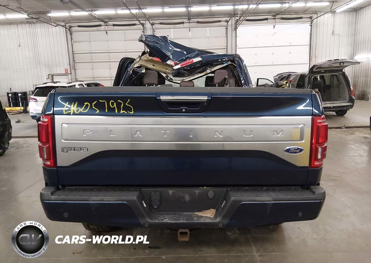 2015 Ford F-150 Platinum VIN:1FTEW1EG1FFC22438 - 17