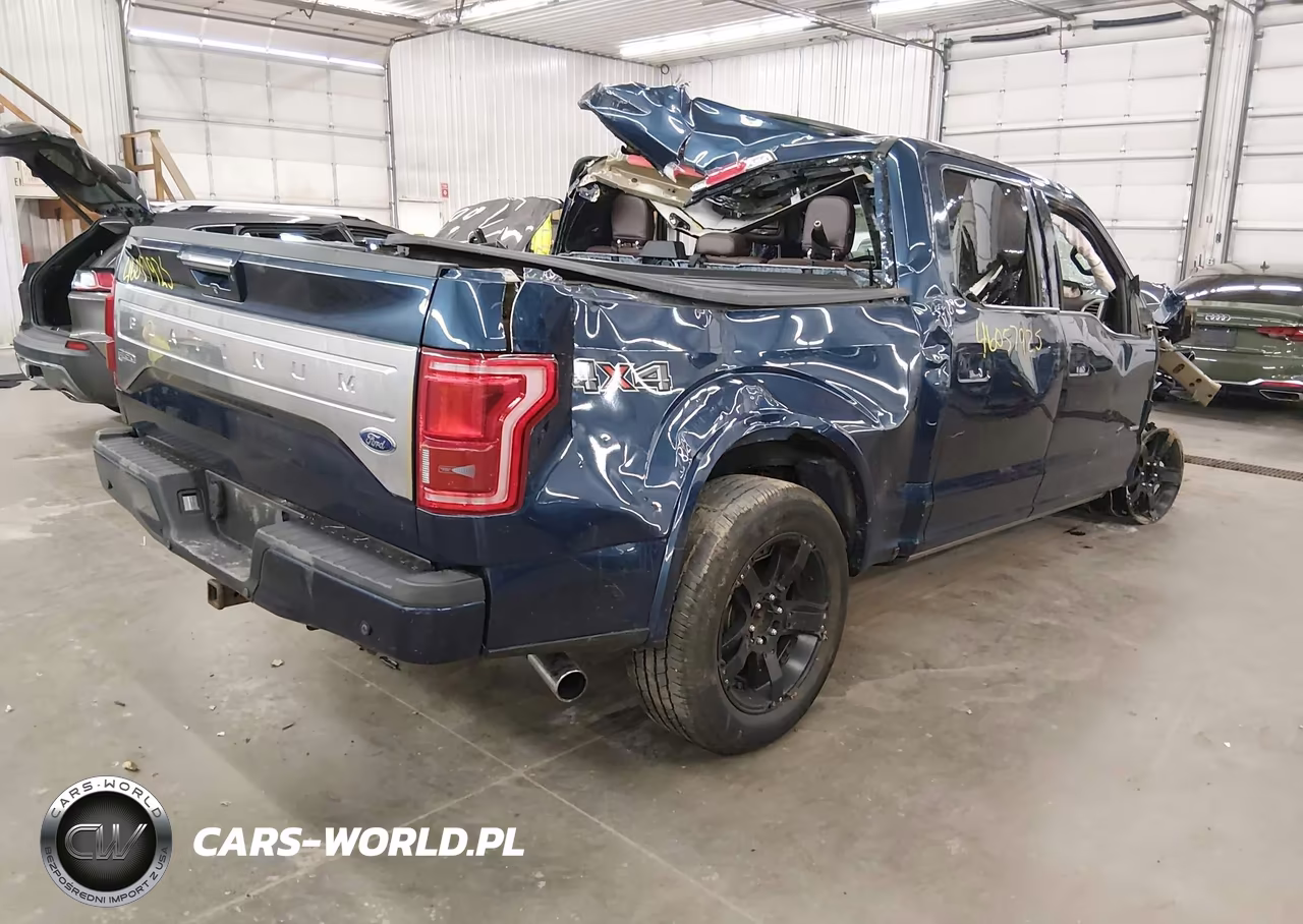 2015 Ford F-150 Platinum VIN:1FTEW1EG1FFC22438 - 4