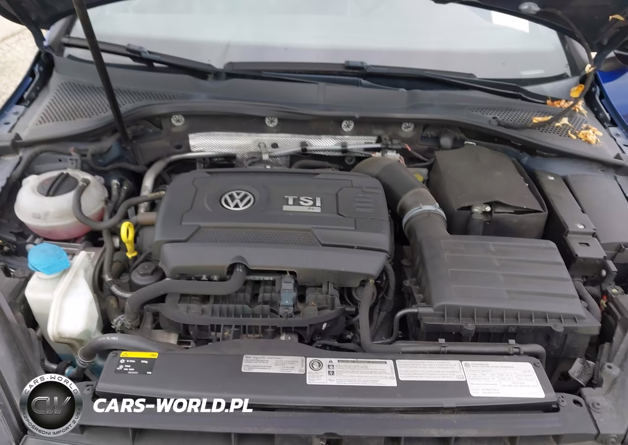 2016 Volkswagen Golf R 4-Door VIN:WVWUF7AU5GW280709 - 10