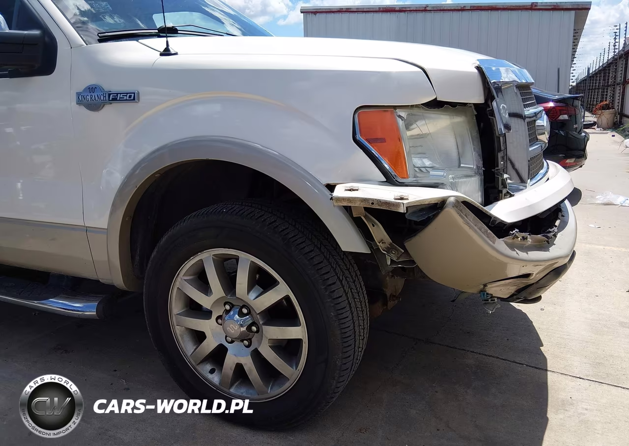 2009 Ford F-150 King Ranch VIN:1FTPW14V09KC32446 - 17