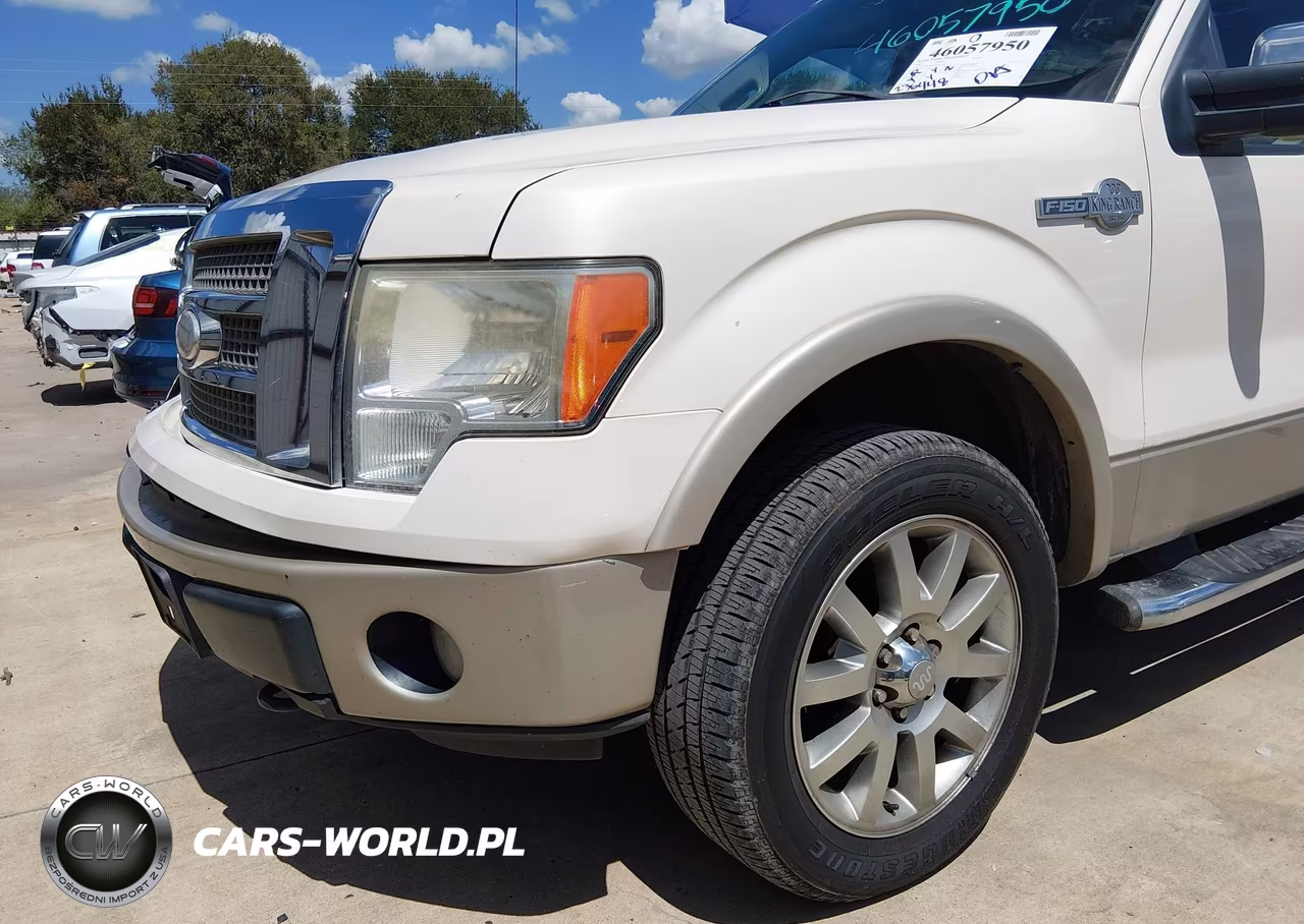 2009 Ford F-150 King Ranch VIN:1FTPW14V09KC32446 - 18