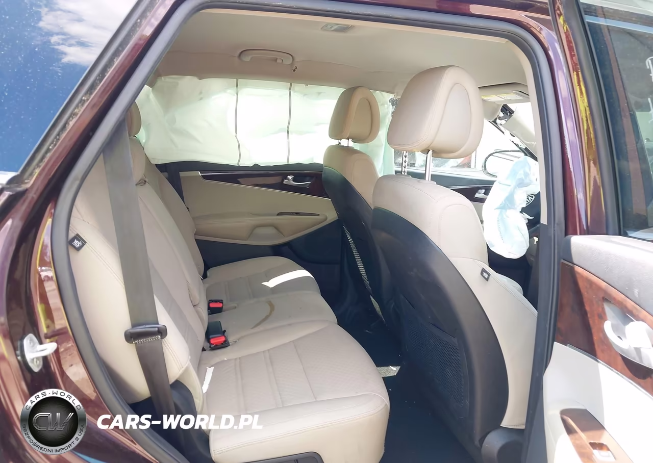 2016 Kia Sorento 3.3L Lx VIN:5XYPG4A55GG012709 - 8