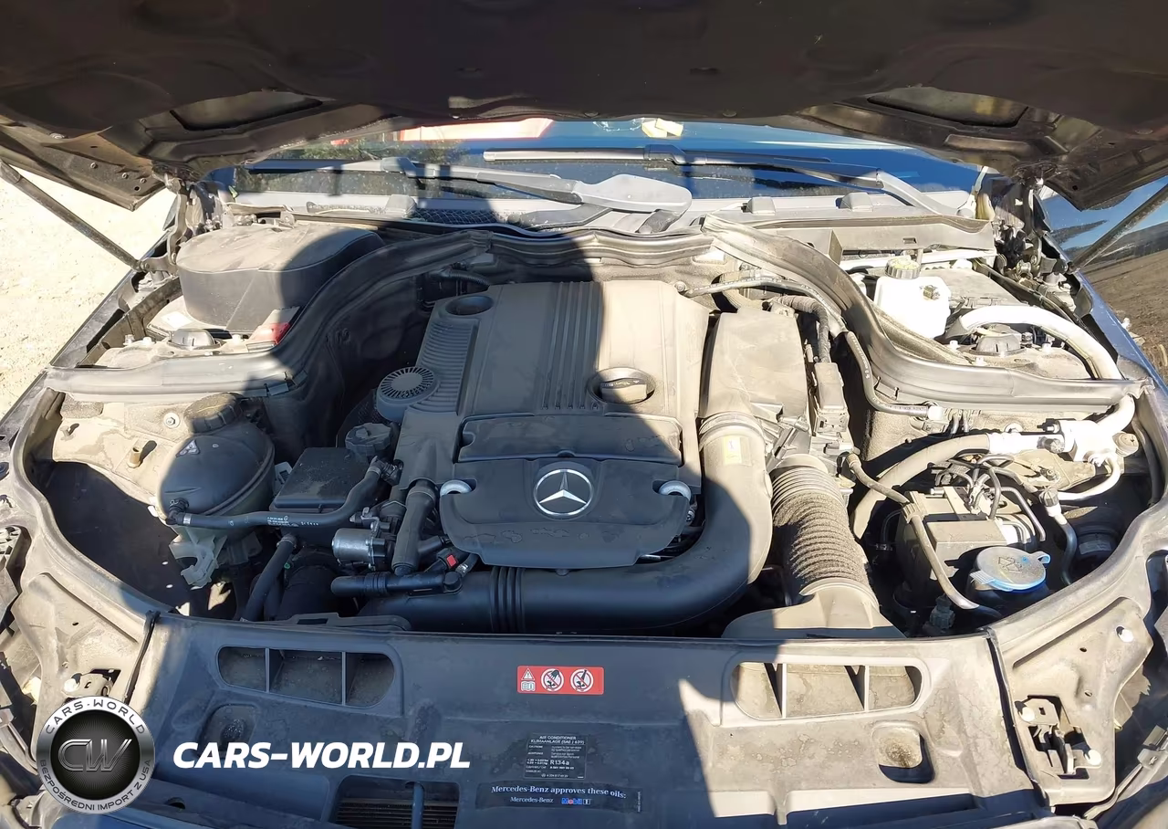 2014 Mercedes-Benz C 250 VIN:WDDGJ4HB9EG278151 - 10