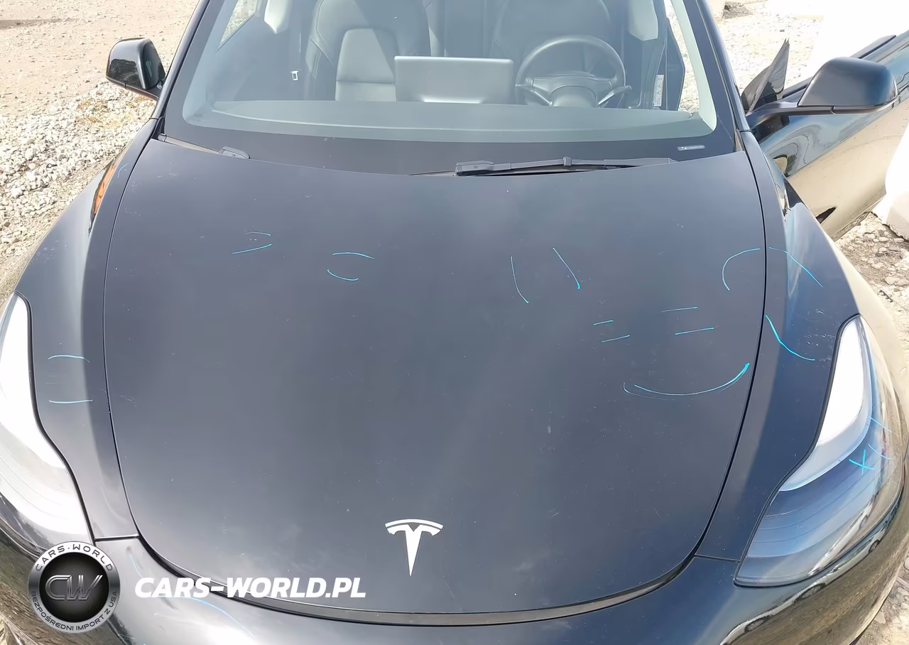 2022 Tesla Model 3 Long Range Dual Motor All-Wheel Drive VIN:5YJ3E1EB9NF209146 - 6