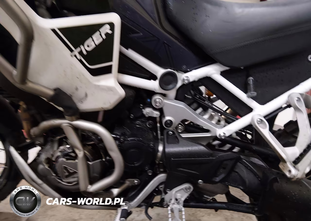 2023 Triumph Motorcycle Tiger 1200 Rally Explorer VIN:SMTP23V41PTBA6651 - 9