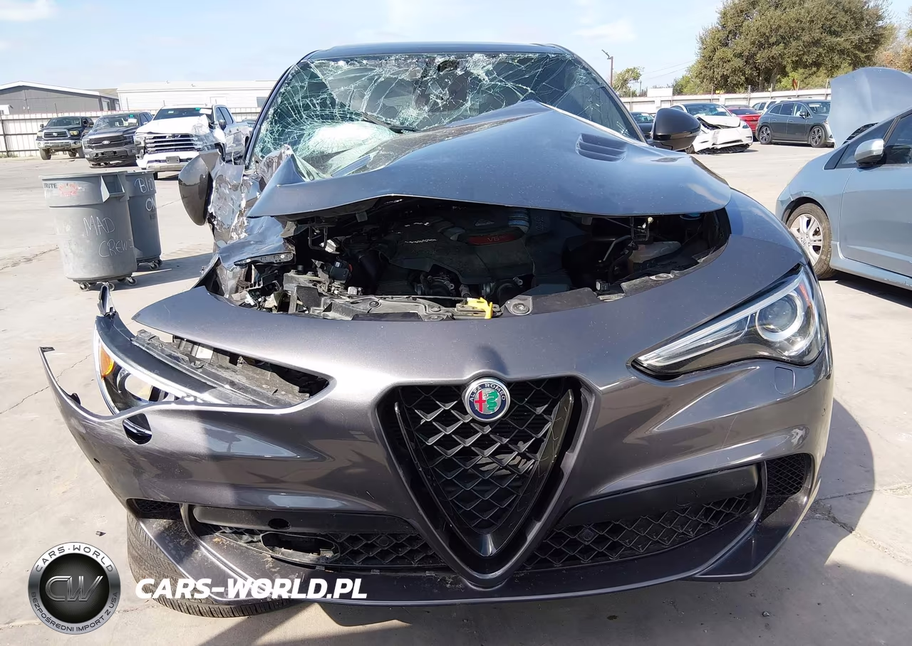 2021 Alfa Romeo Stelvio Quadrifoglio Awd VIN:ZASPAKEV1M7D14093 - 12