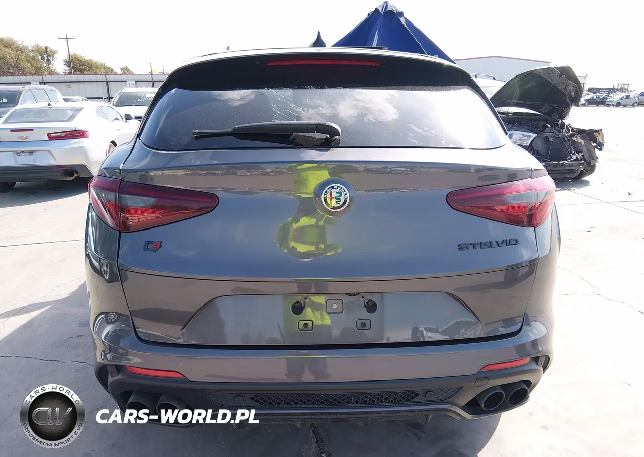 2021 Alfa Romeo Stelvio Quadrifoglio Awd VIN:ZASPAKEV1M7D14093 - 16