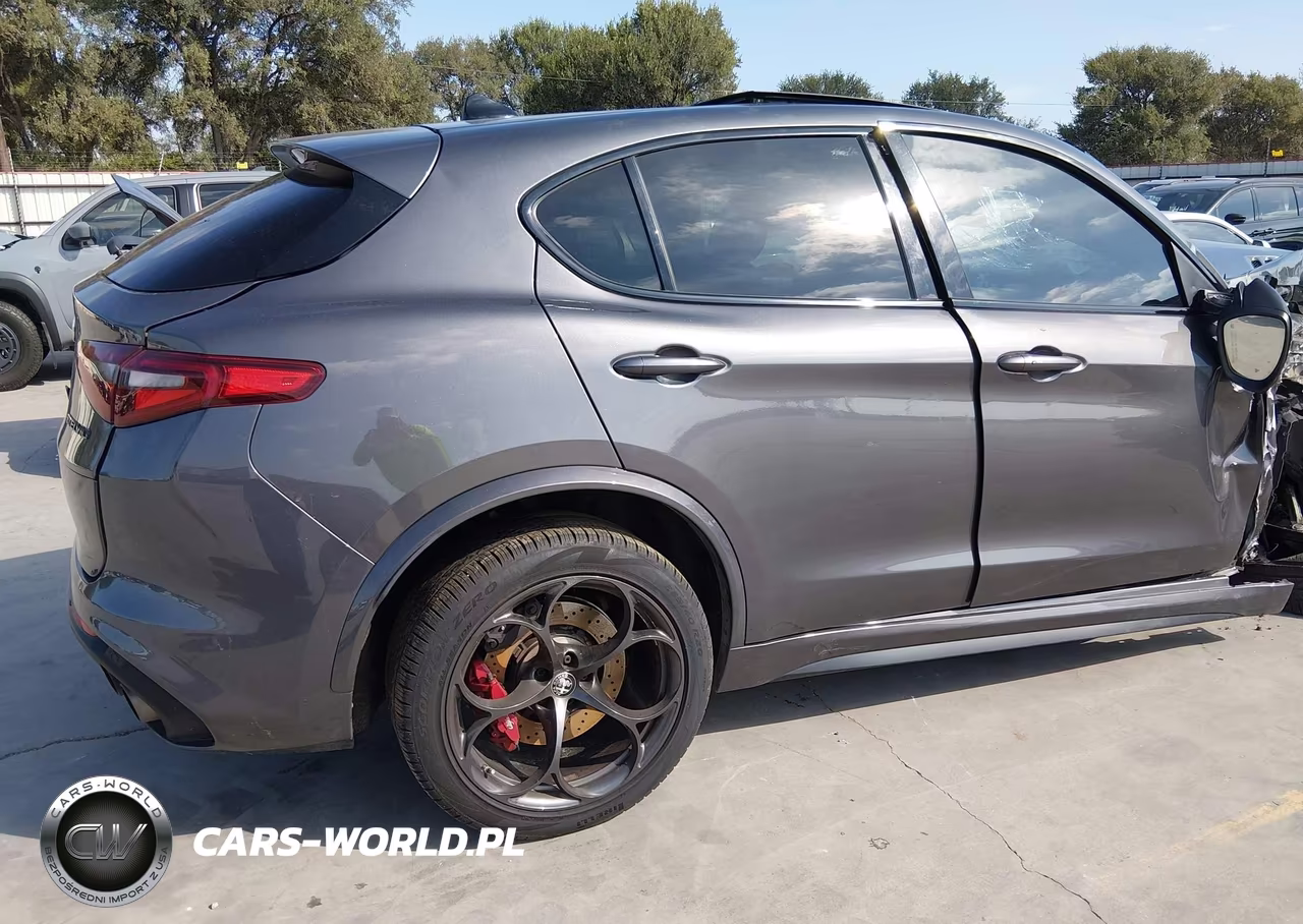 2021 Alfa Romeo Stelvio Quadrifoglio Awd VIN:ZASPAKEV1M7D14093 - 17