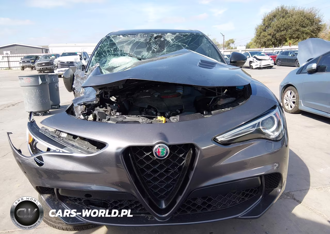2021 Alfa Romeo Stelvio Quadrifoglio Awd VIN:ZASPAKEV1M7D14093 - 18