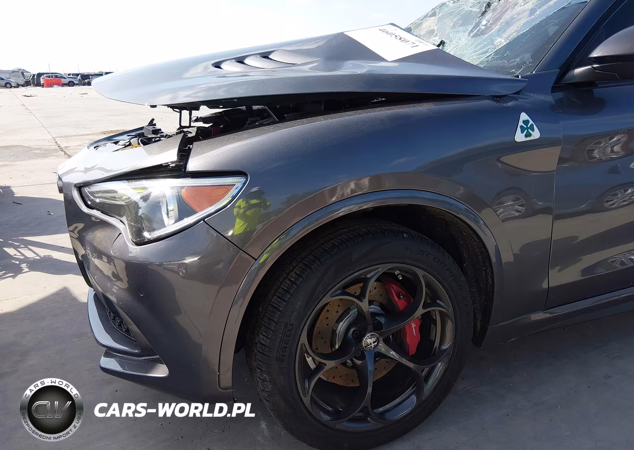 2021 Alfa Romeo Stelvio Quadrifoglio Awd VIN:ZASPAKEV1M7D14093 - 19