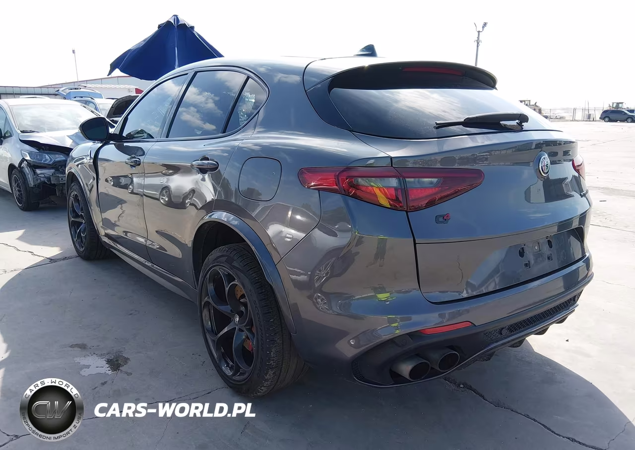 2021 Alfa Romeo Stelvio Quadrifoglio Awd VIN:ZASPAKEV1M7D14093 - 3