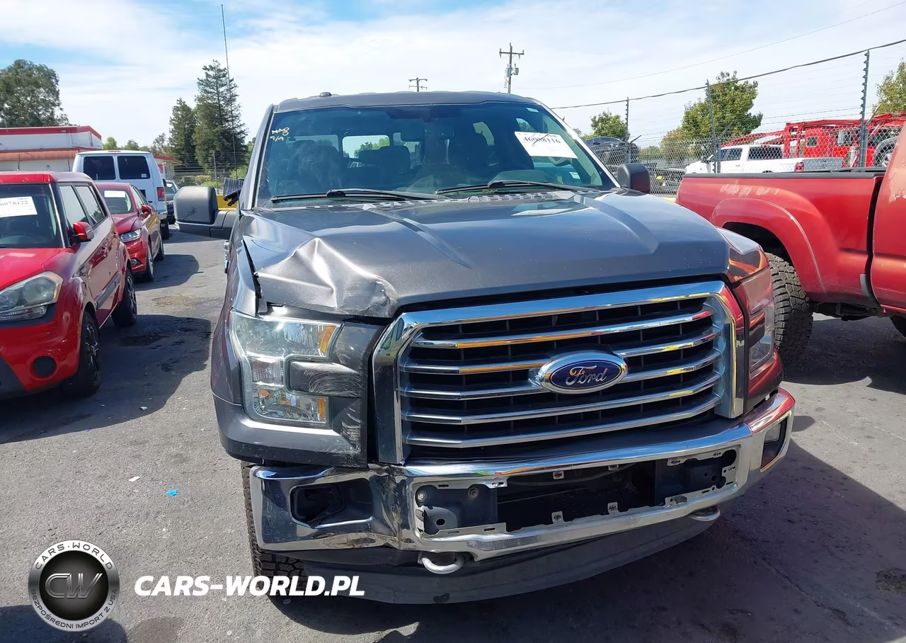 2015 Ford F-150 Xlt VIN:1FTFW1EF9FKD02699 - 12