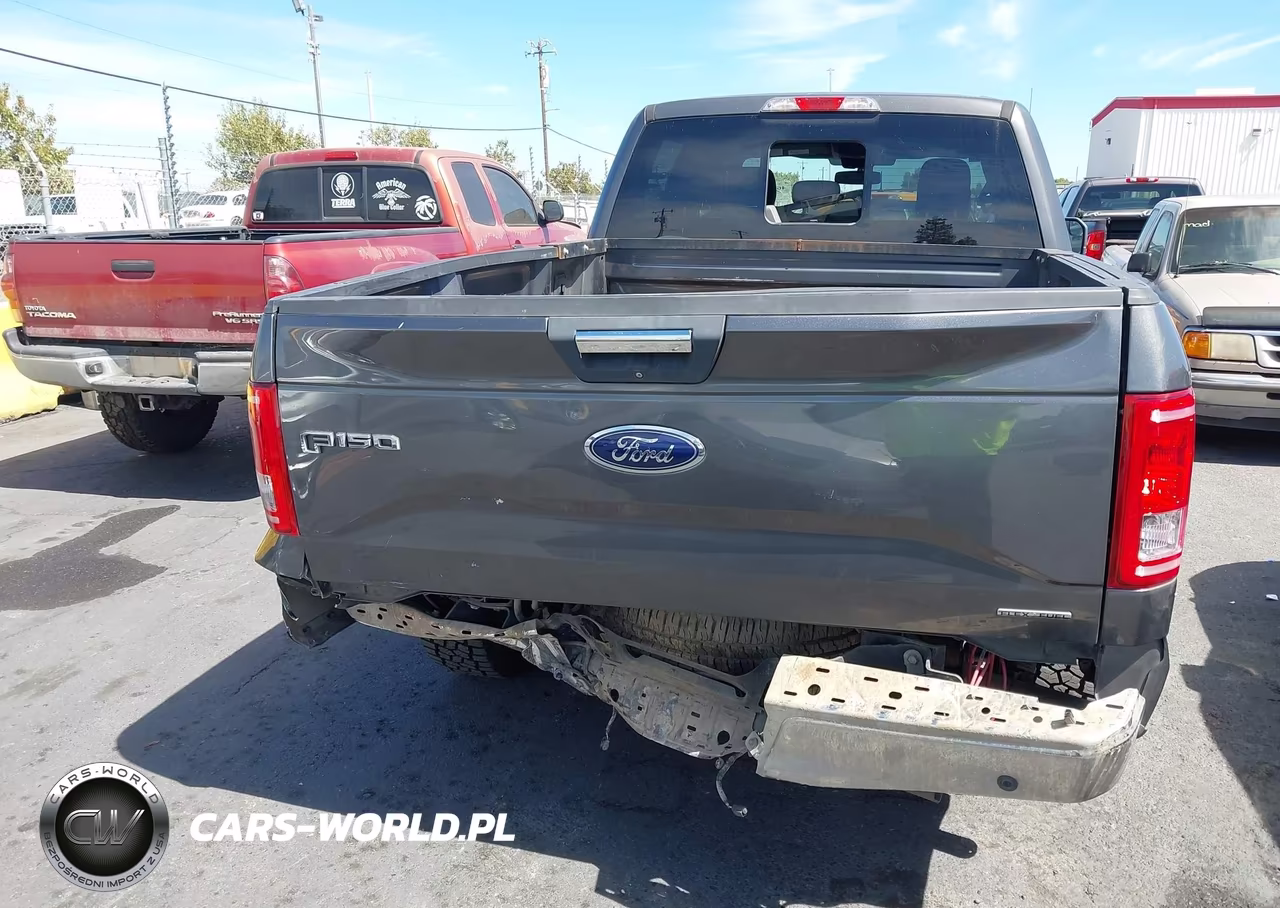 2015 Ford F-150 Xlt VIN:1FTFW1EF9FKD02699 - 16
