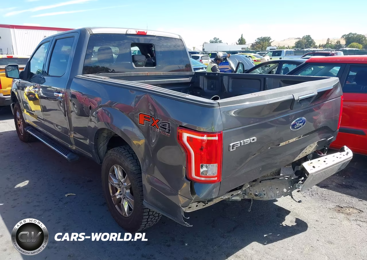 2015 Ford F-150 Xlt VIN:1FTFW1EF9FKD02699 - 3