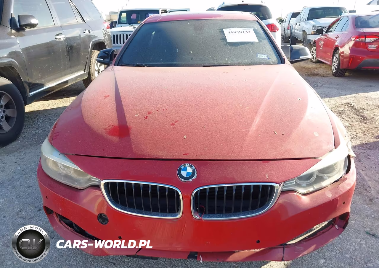 2015 BMW 428 Gran Coupe VIN:WBA4A9C58FD416919 - 11