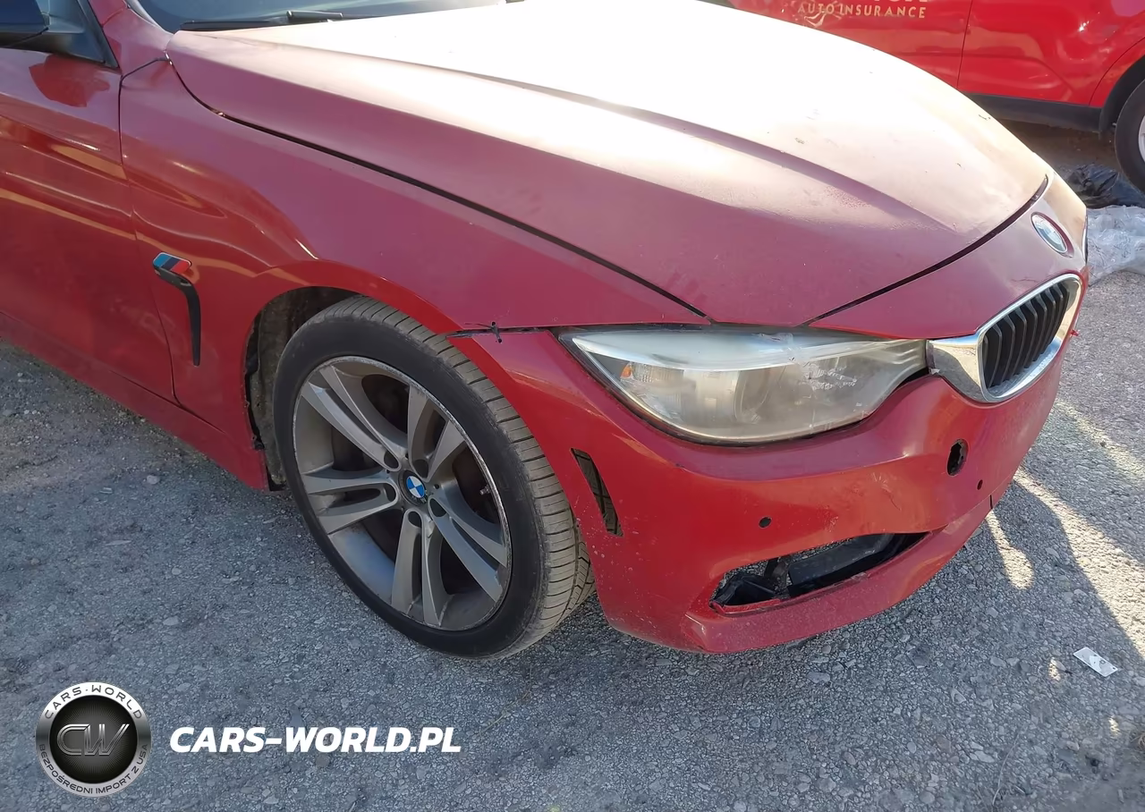 2015 BMW 428 Gran Coupe VIN:WBA4A9C58FD416919 - 17