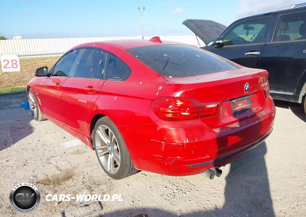2015 BMW 428 Gran Coupe VIN:WBA4A9C58FD416919 - 3