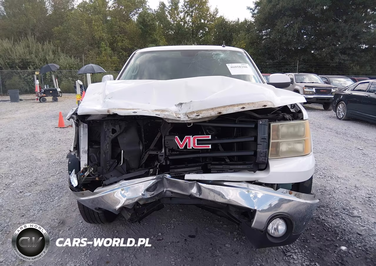 2009 GMC Sierra 1500 Slt VIN:1GTEK39J49Z179603 - 12