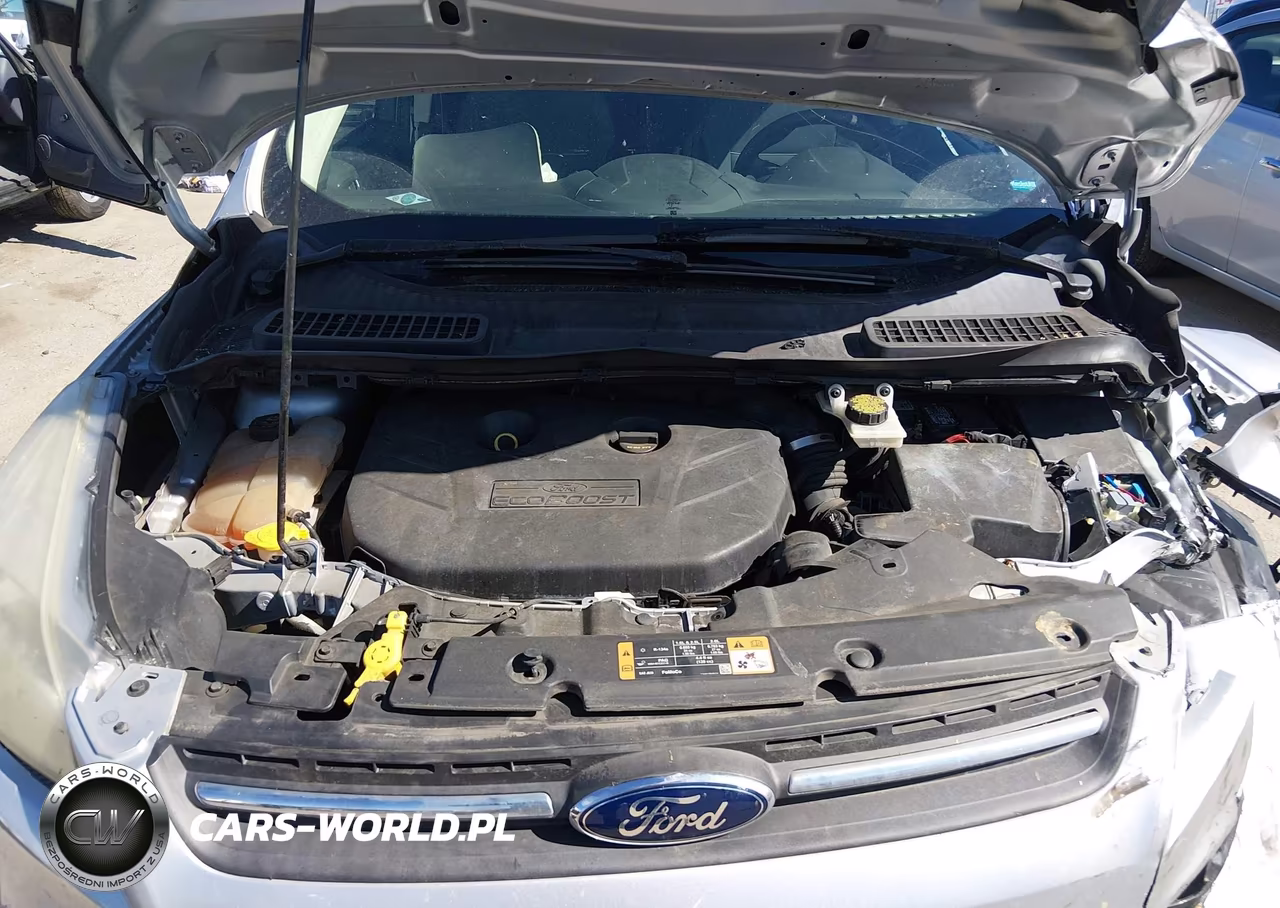 2014 Ford Escape Se VIN:1FMCU0G90EUA89795 - 10