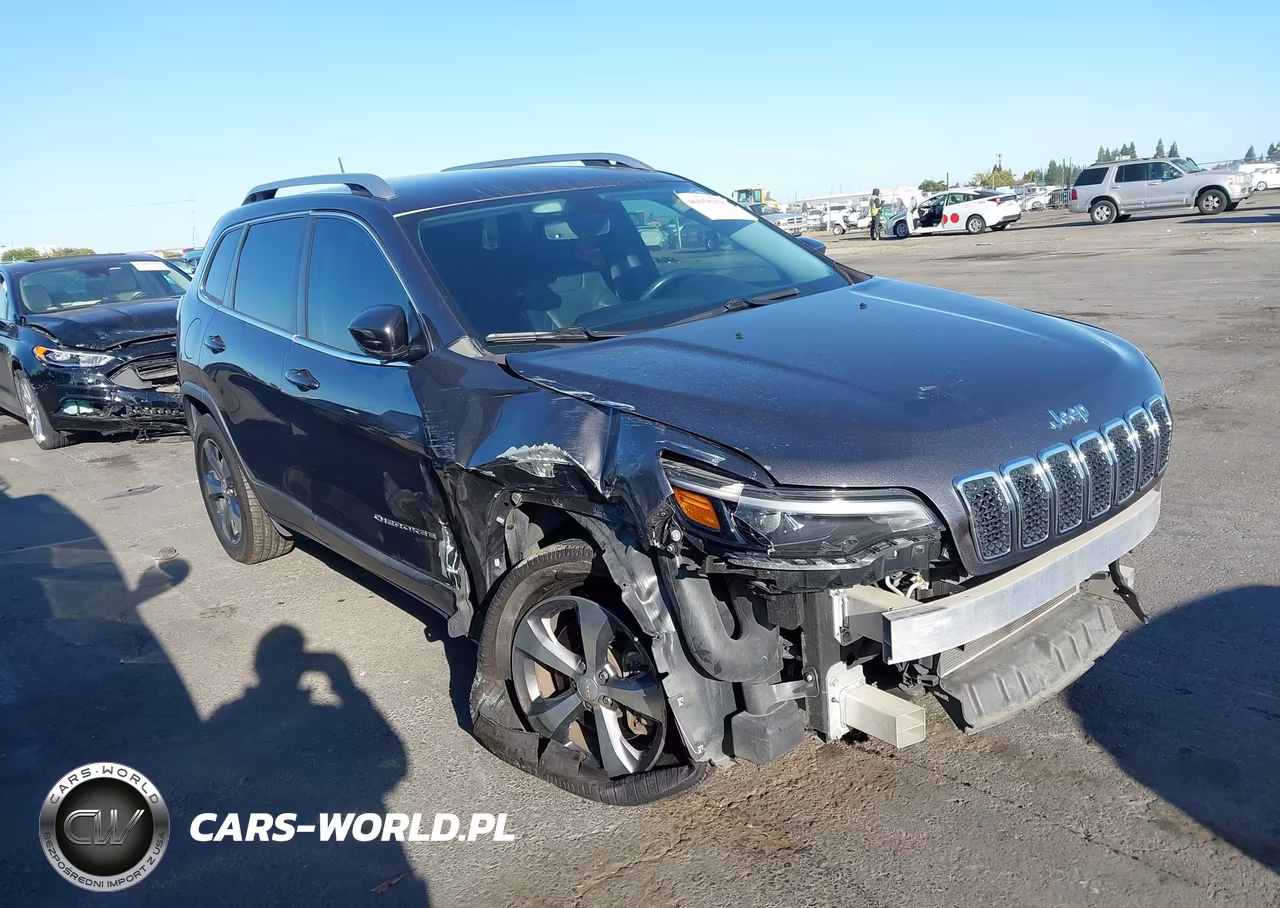 2019 Jeep Cherokee Limited 4X4 VIN:1C4PJMDX2KD198263 - 1