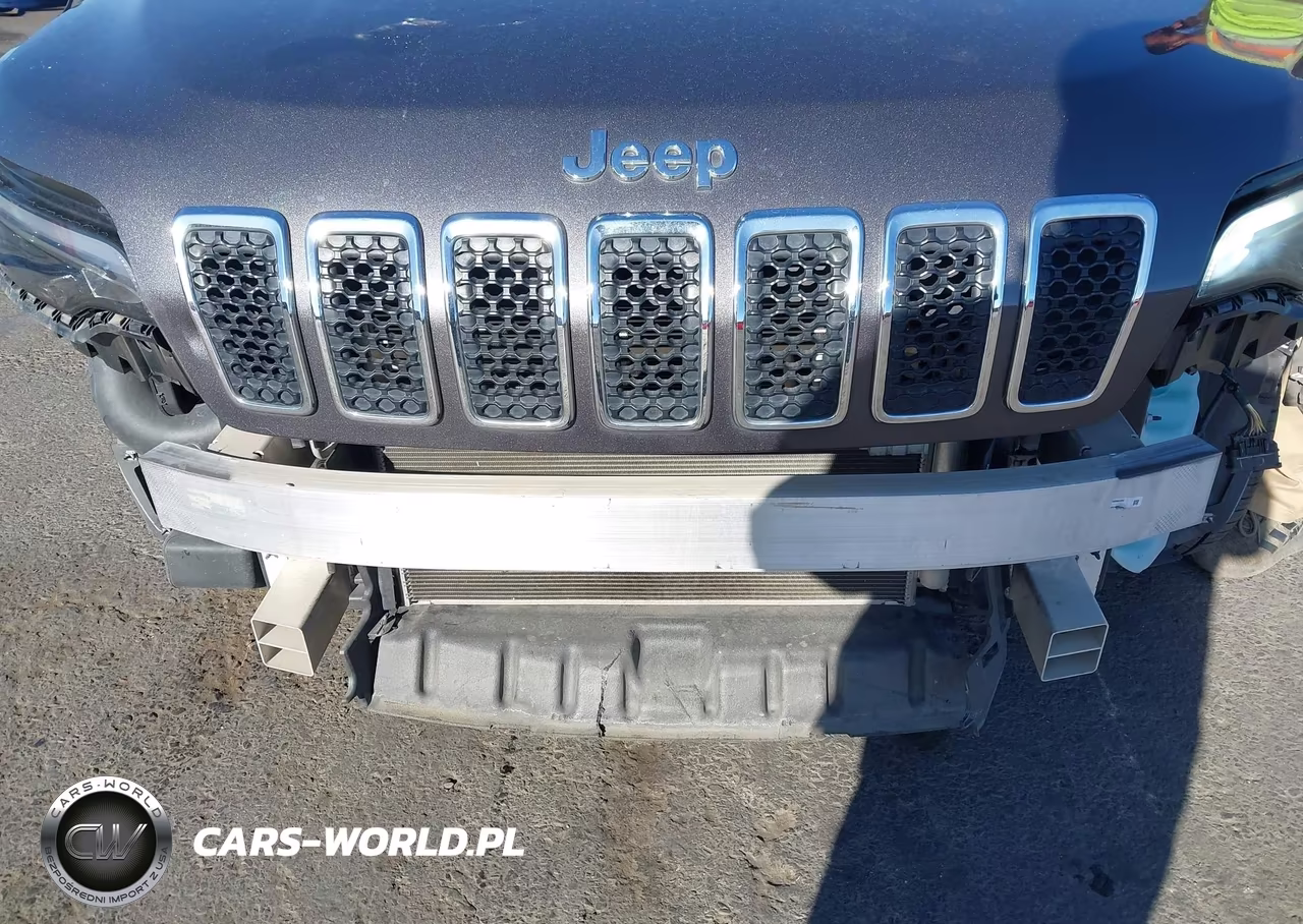 2019 Jeep Cherokee Limited 4X4 VIN:1C4PJMDX2KD198263 - 6