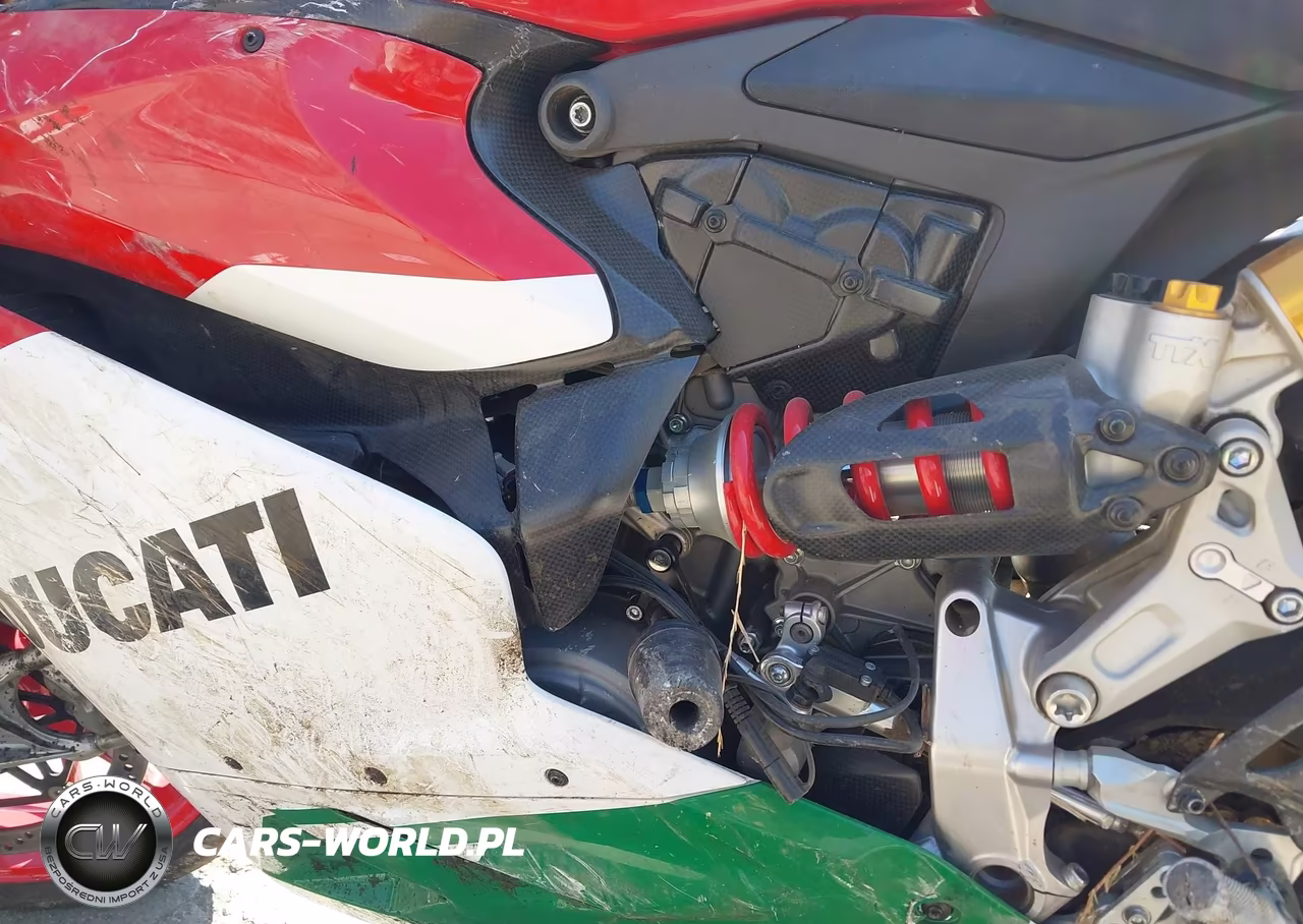 2018 Ducati Superbike 1299 Panigale R Final Edition VIN:ZDMHAAMW3JB000119 - 9