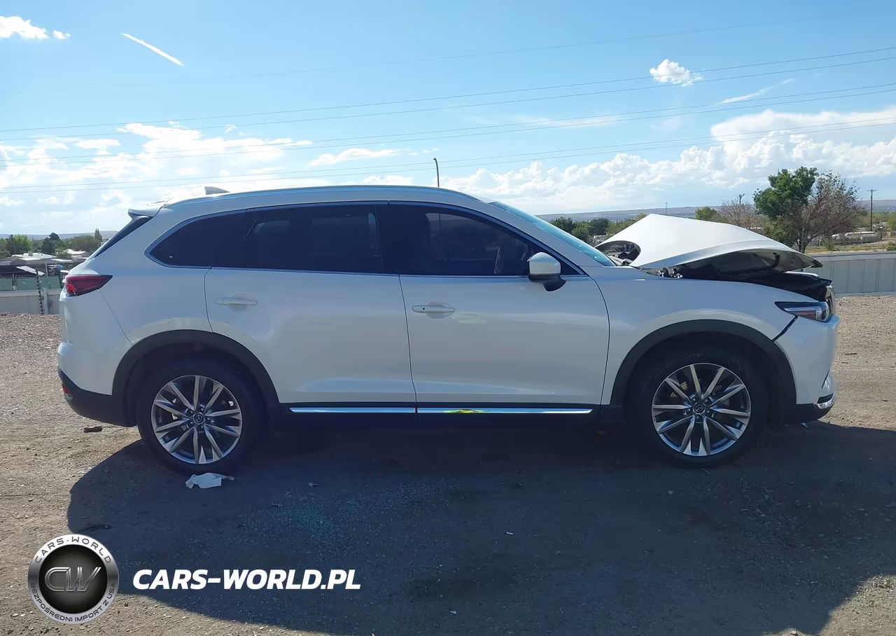 2017 Mazda Cx-9 Grand Touring VIN:JM3TCADY8H0131898 - 13
