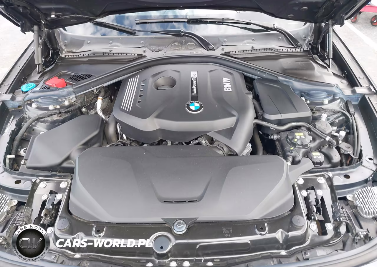2019 BMW 330I Gran Turismo xDrive VIN:WBA8Z9C52KB220796 - 10