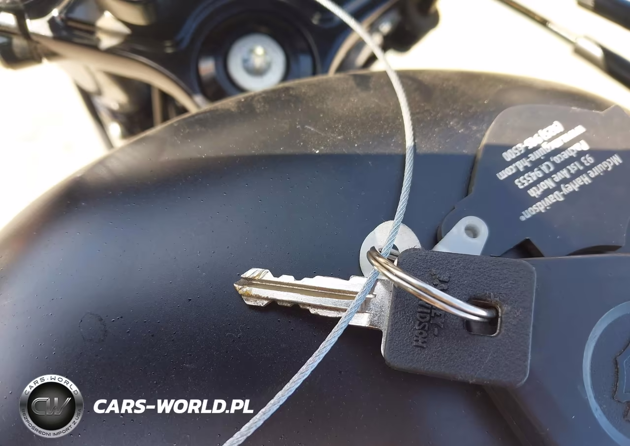 2020 Harley-Davidson Xl883 N VIN:1HD4LE22XLB434051 - 11