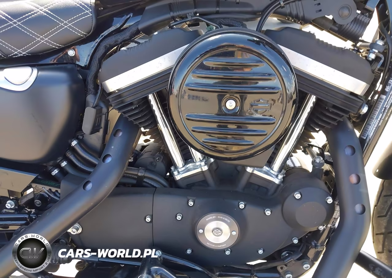 2020 Harley-Davidson Xl883 N VIN:1HD4LE22XLB434051 - 8