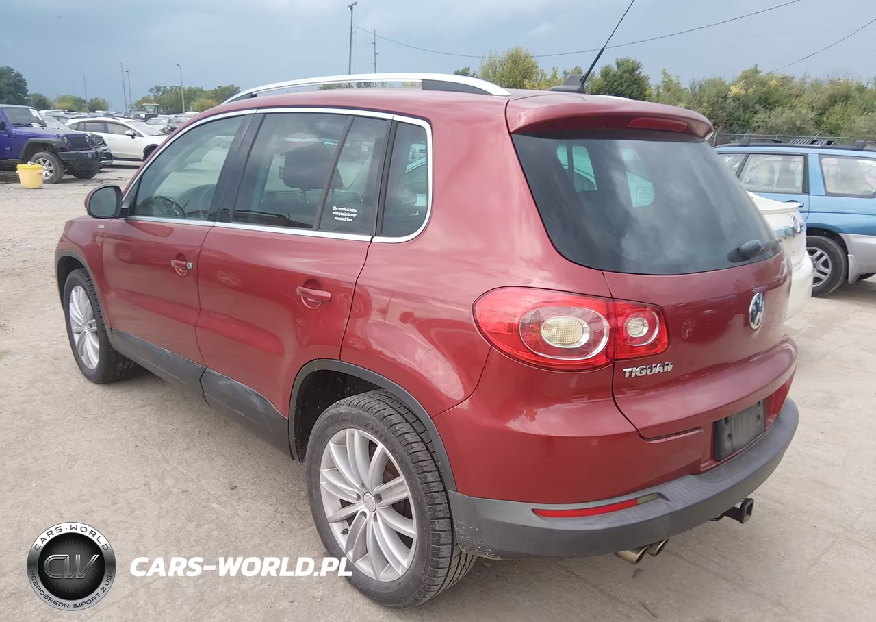 2010 Volkswagen Tiguan Wolfsburg Edition VIN:WVGAV7AX7AW003580 - 3