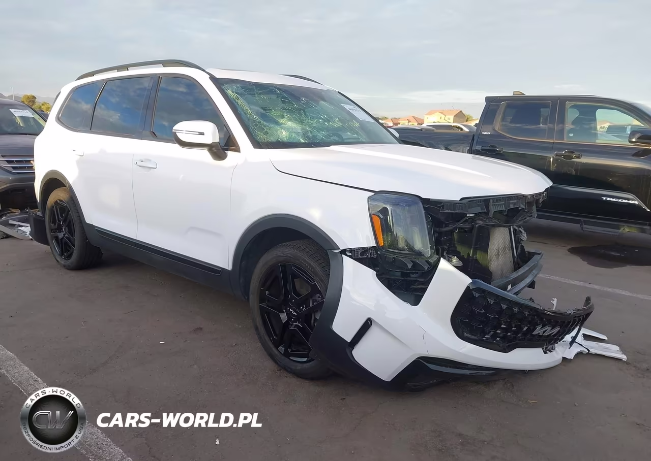 2024 Kia Telluride Ex X-Line VIN:5XYP3DGC8RG536232 - 1