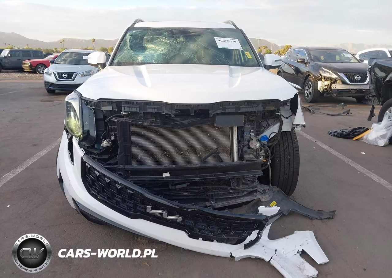 2024 Kia Telluride Ex X-Line VIN:5XYP3DGC8RG536232 - 13