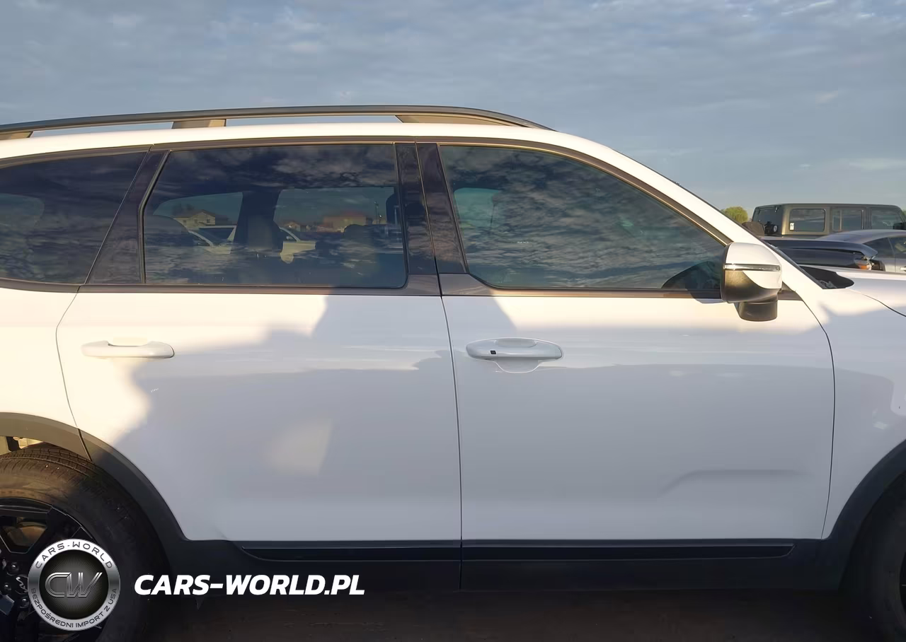 2024 Kia Telluride Ex X-Line VIN:5XYP3DGC8RG536232 - 14