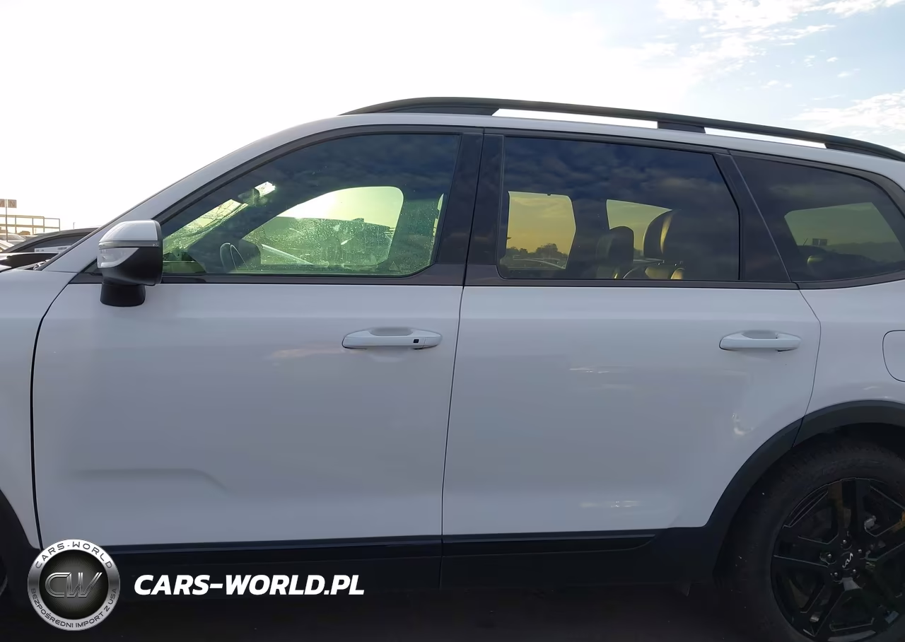 2024 Kia Telluride Ex X-Line VIN:5XYP3DGC8RG536232 - 15