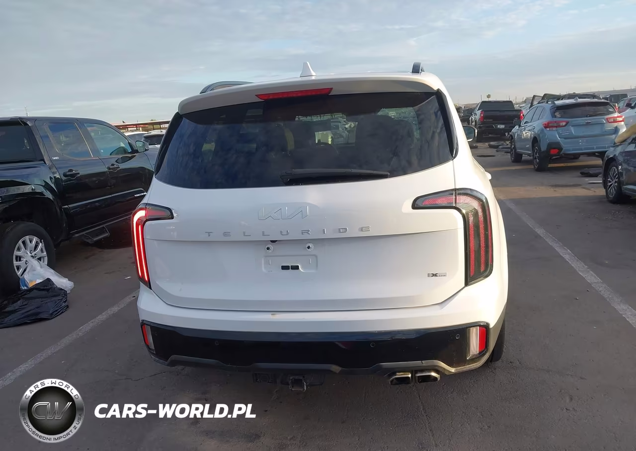 2024 Kia Telluride Ex X-Line VIN:5XYP3DGC8RG536232 - 17