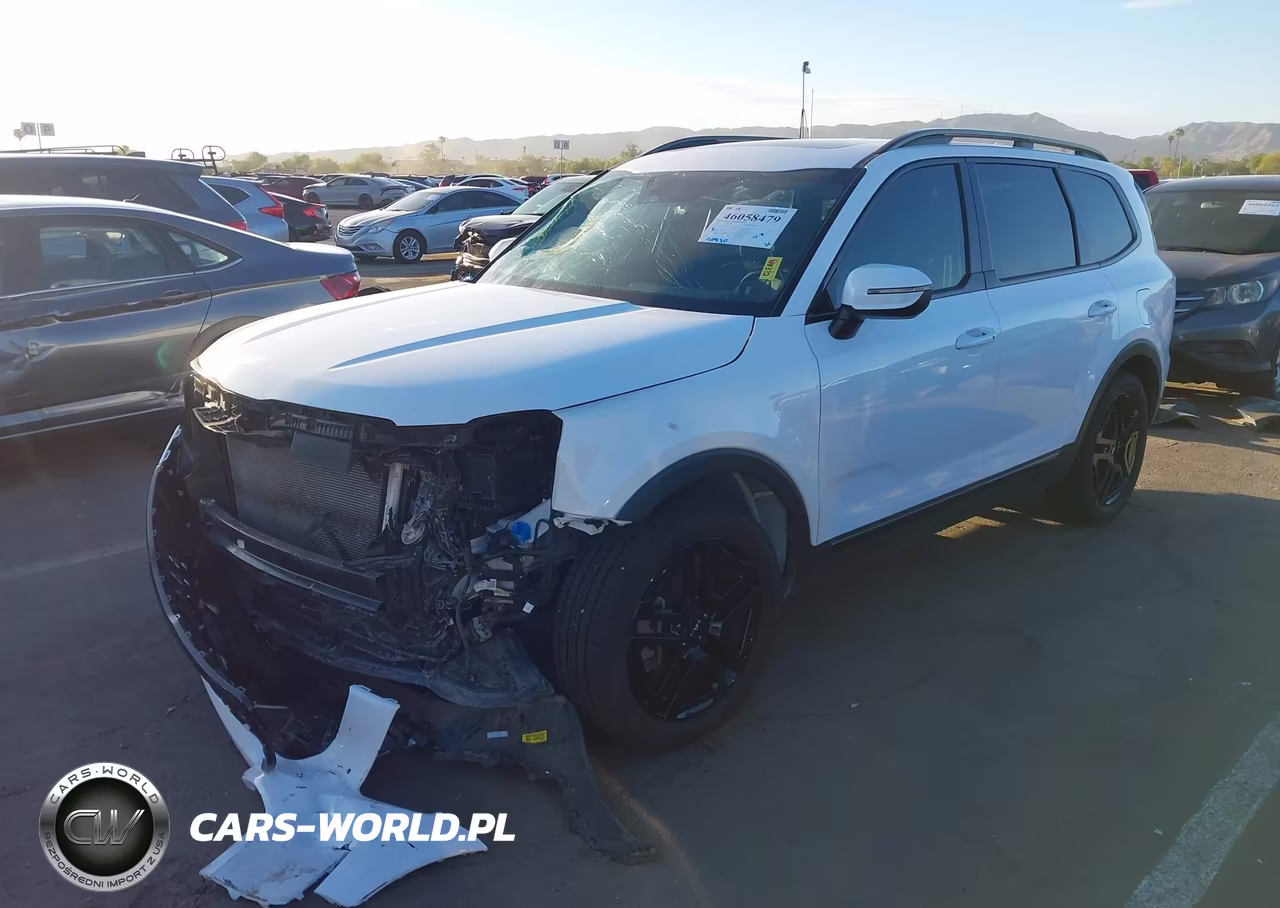 2024 Kia Telluride Ex X-Line VIN:5XYP3DGC8RG536232 - 2