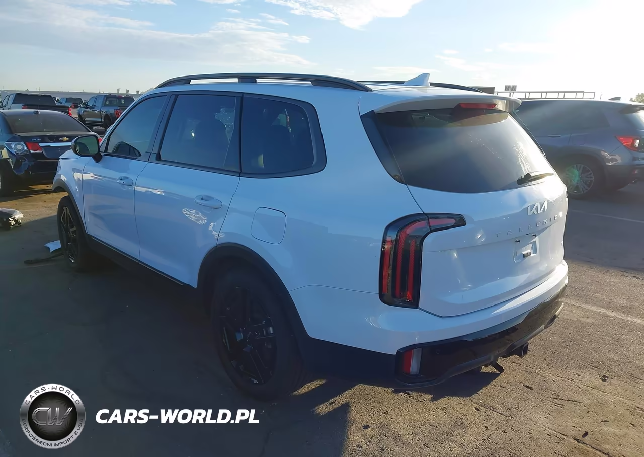 2024 Kia Telluride Ex X-Line VIN:5XYP3DGC8RG536232 - 3