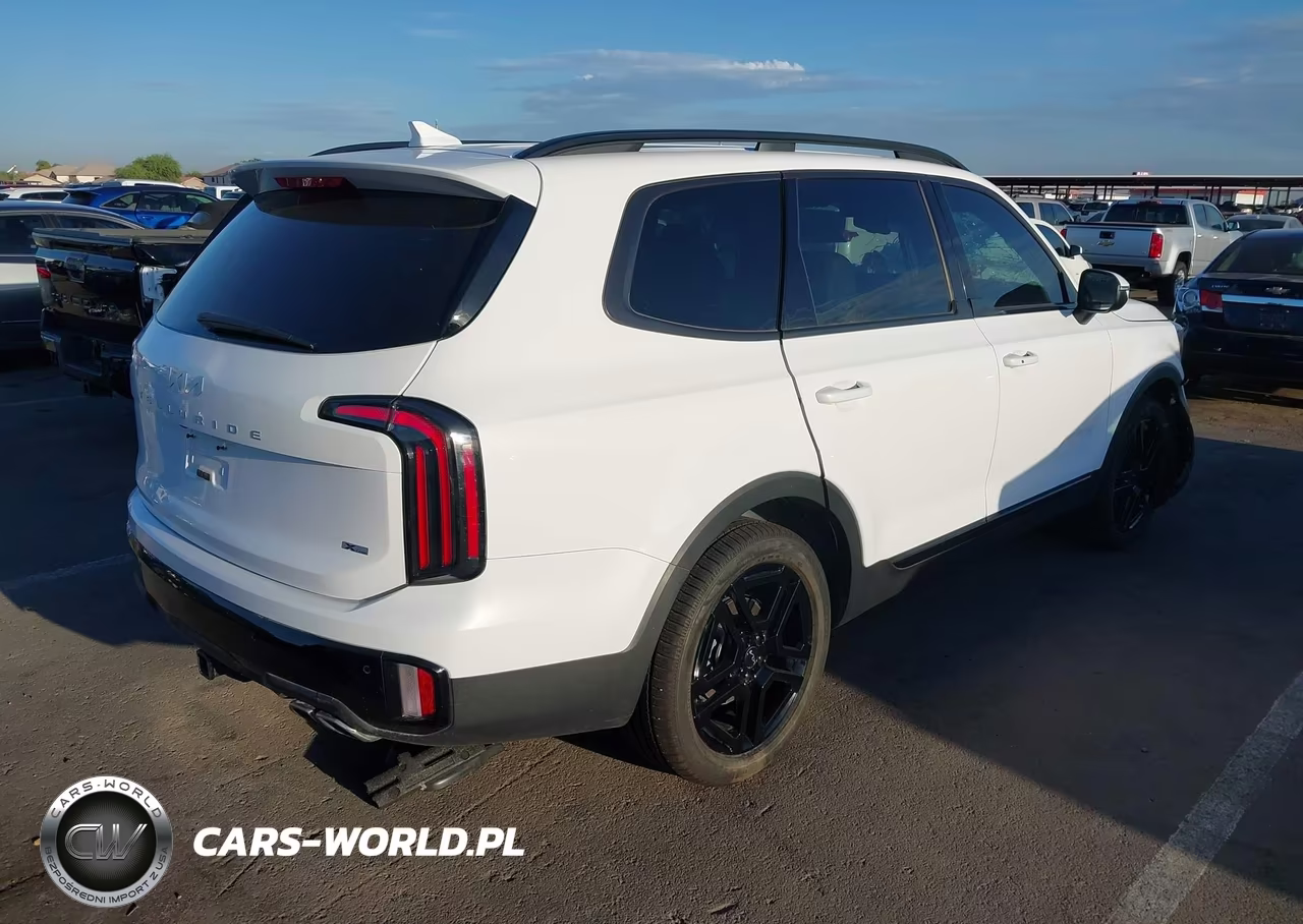 2024 Kia Telluride Ex X-Line VIN:5XYP3DGC8RG536232 - 4