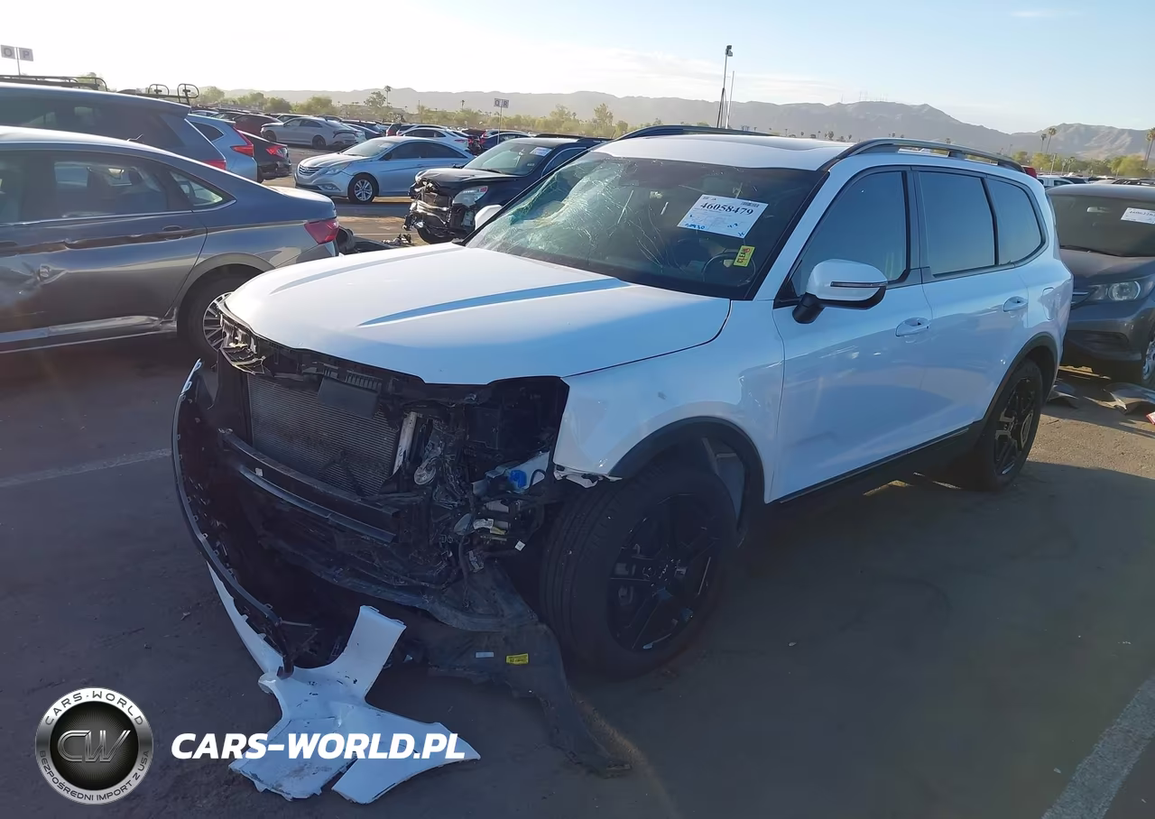 2024 Kia Telluride Ex X-Line VIN:5XYP3DGC8RG536232 - 6