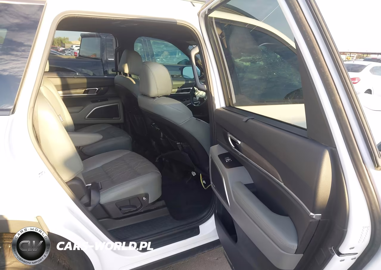 2024 Kia Telluride Ex X-Line VIN:5XYP3DGC8RG536232 - 8
