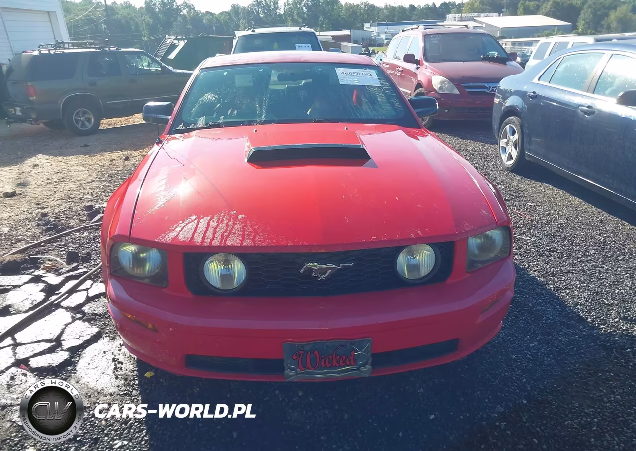 2007 Ford Mustang Gt Deluxe-Gt Premium VIN:1ZVFT82H875197691 - 13