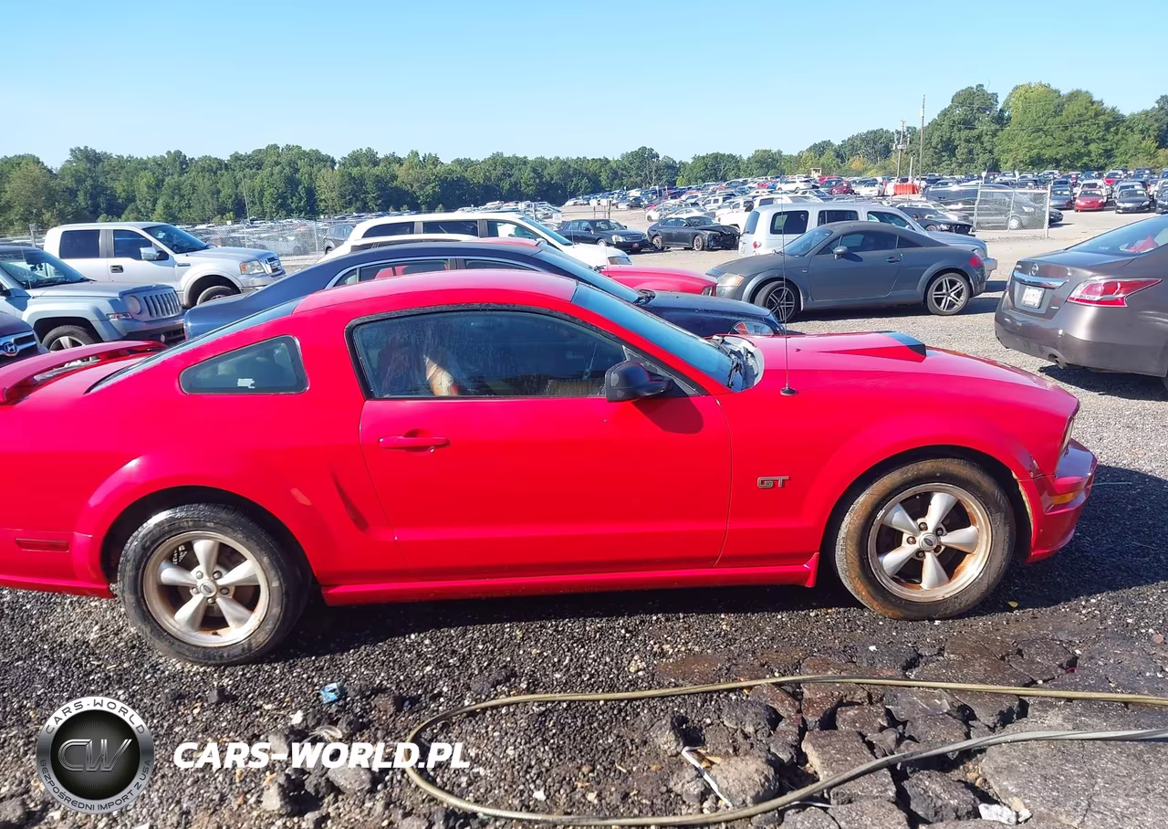 2007 Ford Mustang Gt Deluxe-Gt Premium VIN:1ZVFT82H875197691 - 14