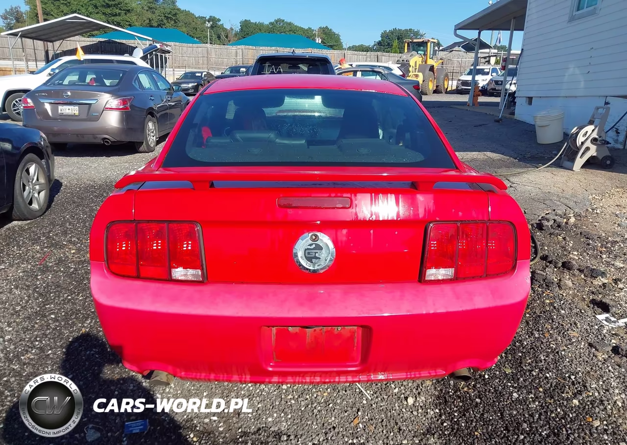2007 Ford Mustang Gt Deluxe-Gt Premium VIN:1ZVFT82H875197691 - 17