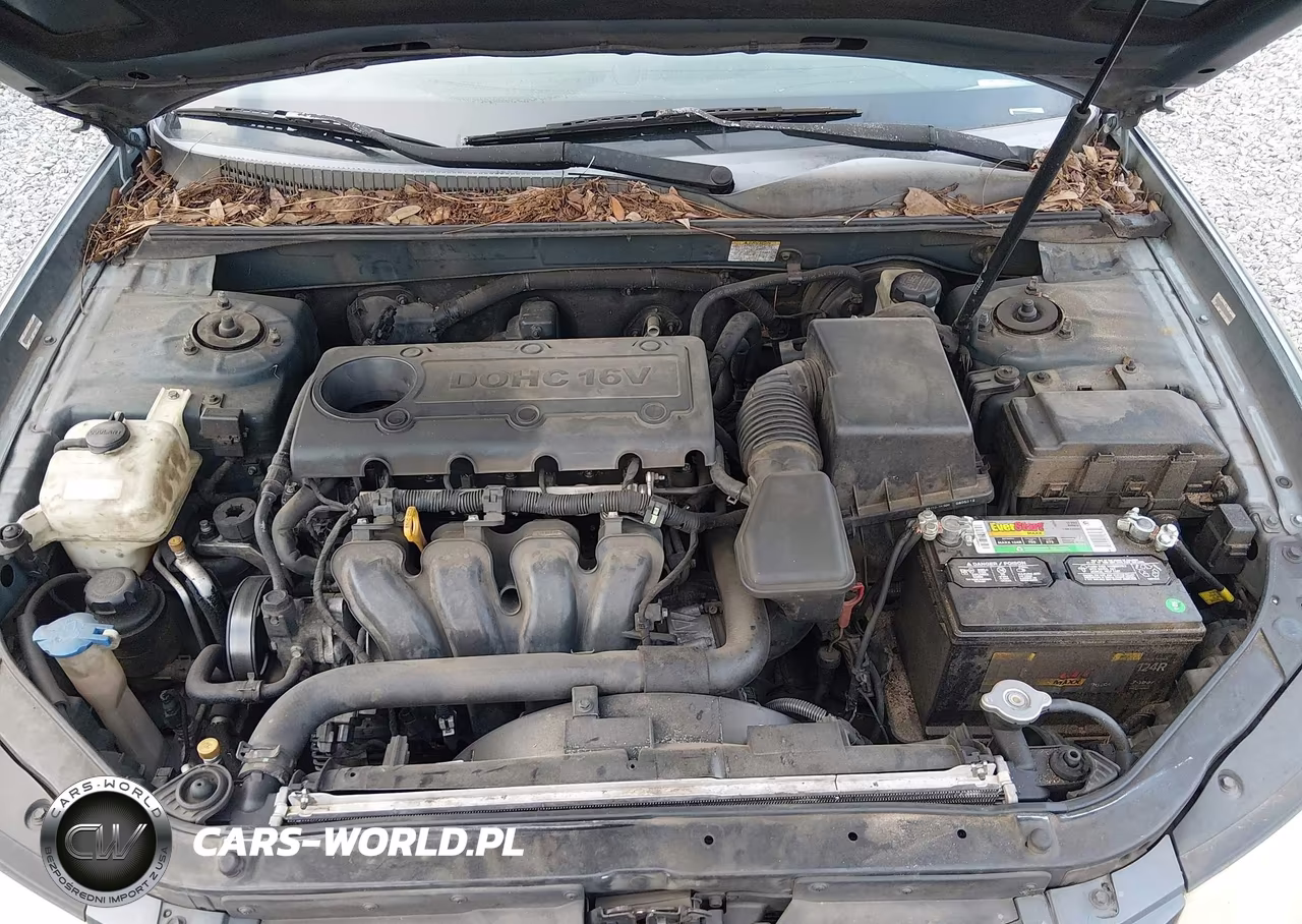 2009 Hyundai Sonata Limited VIN:5NPEU46C09H492421 - 10