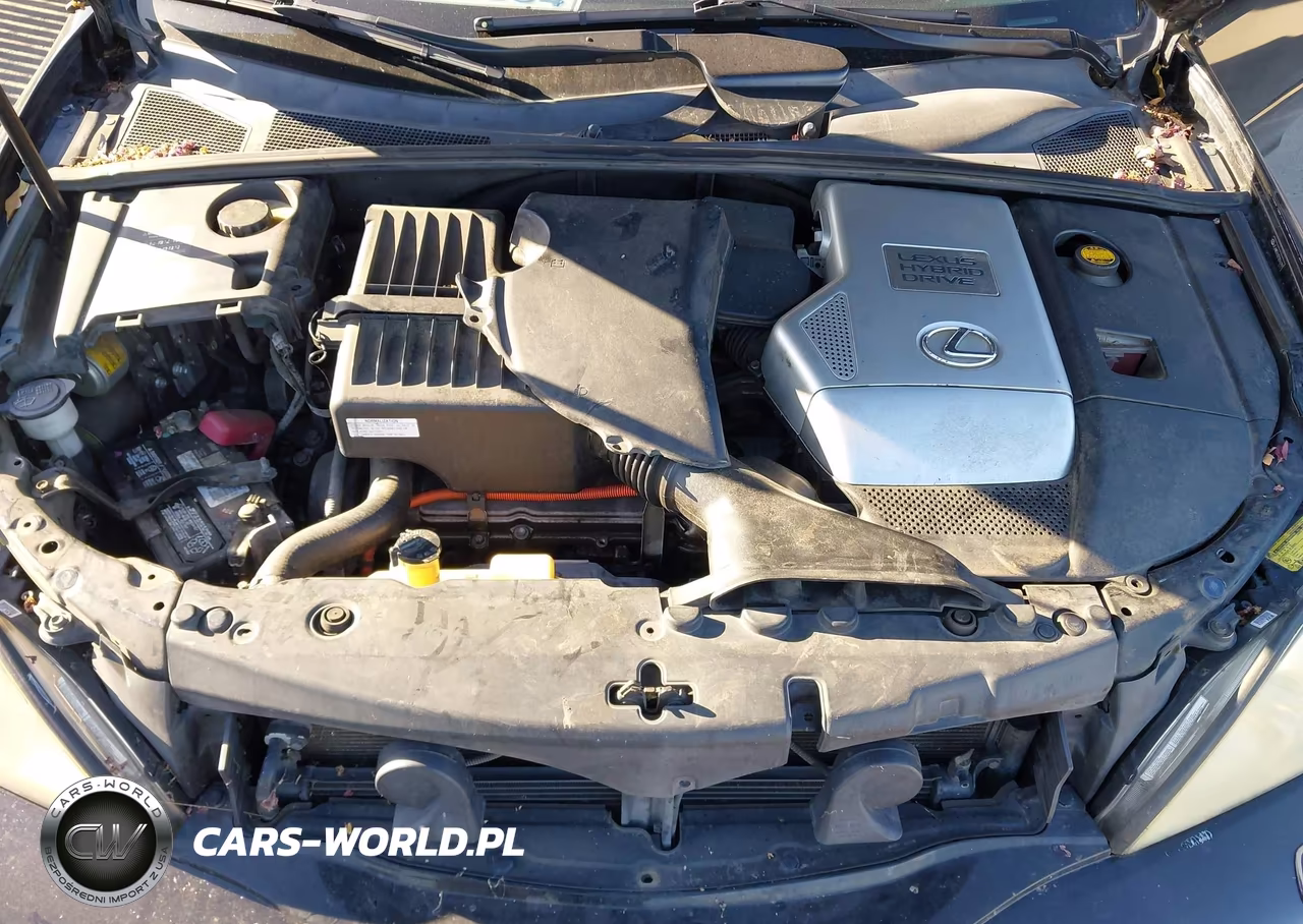 2007 Lexus Rx 400H VIN:JTJHW31U372016791 - 10