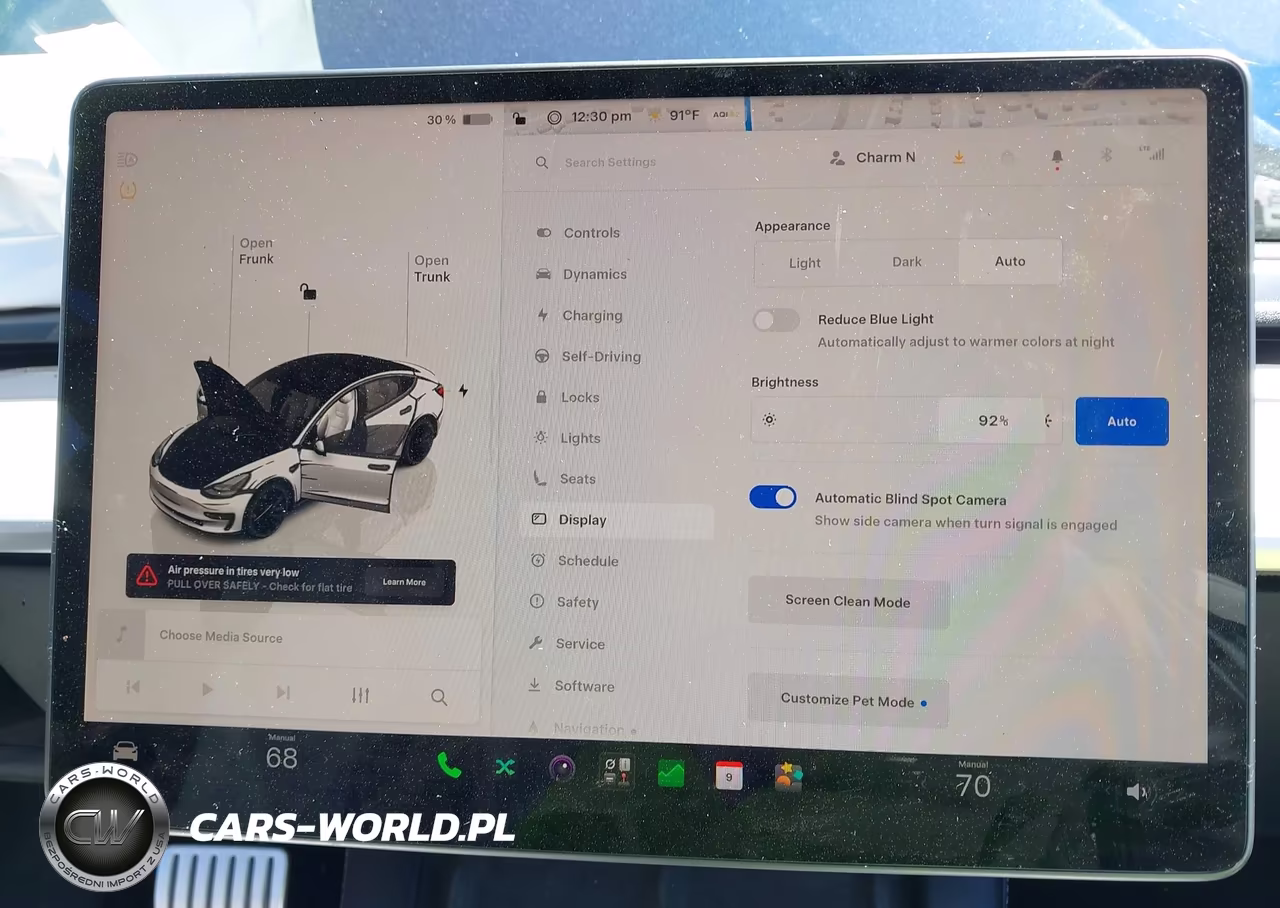 2023 Tesla Model 3 Performance Dual Motor All-Wheel Drive VIN:5YJ3E1EC8PF417515 - 18