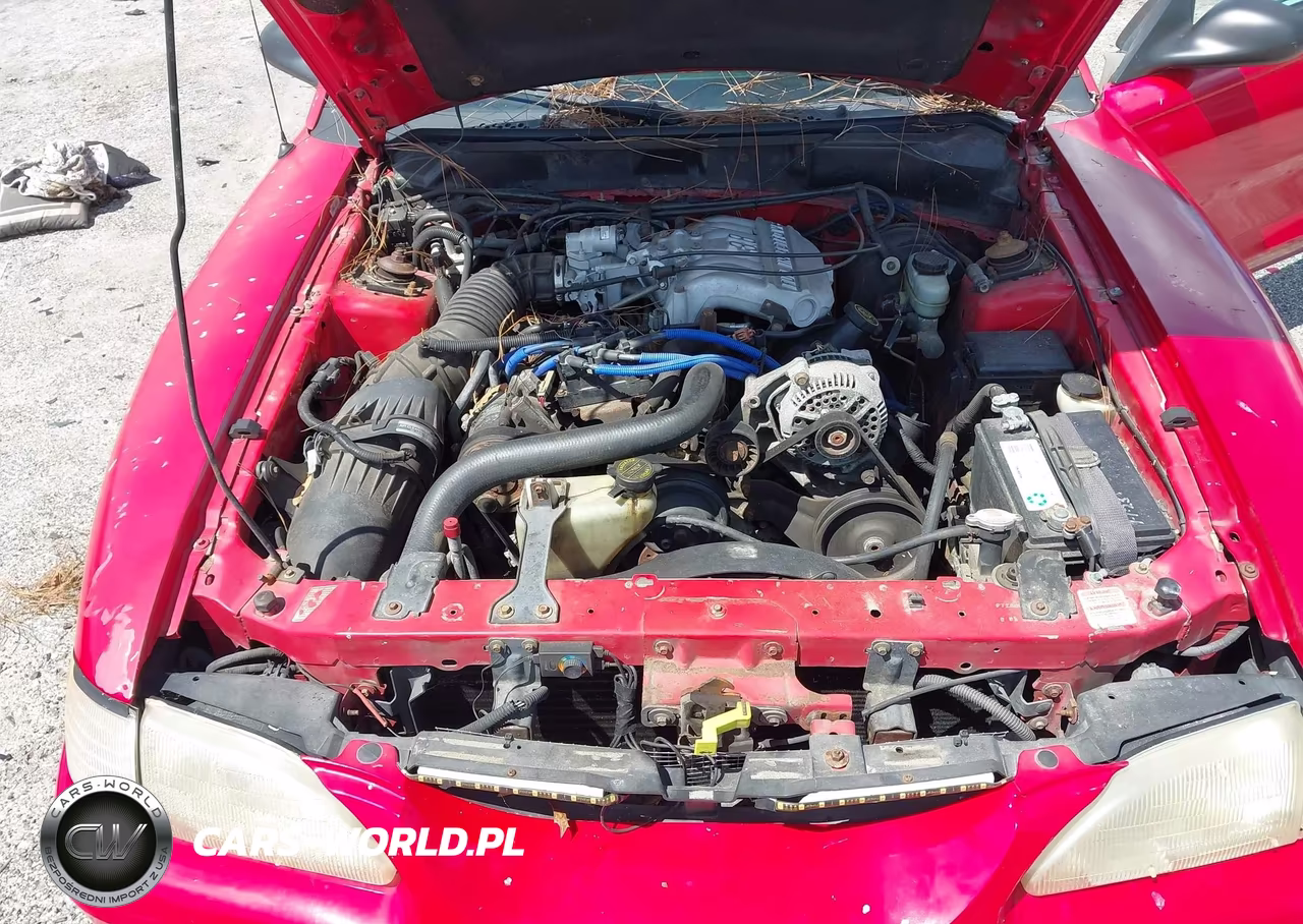 1998 Ford Mustang VIN:1FAFP4444WF198894 - 10
